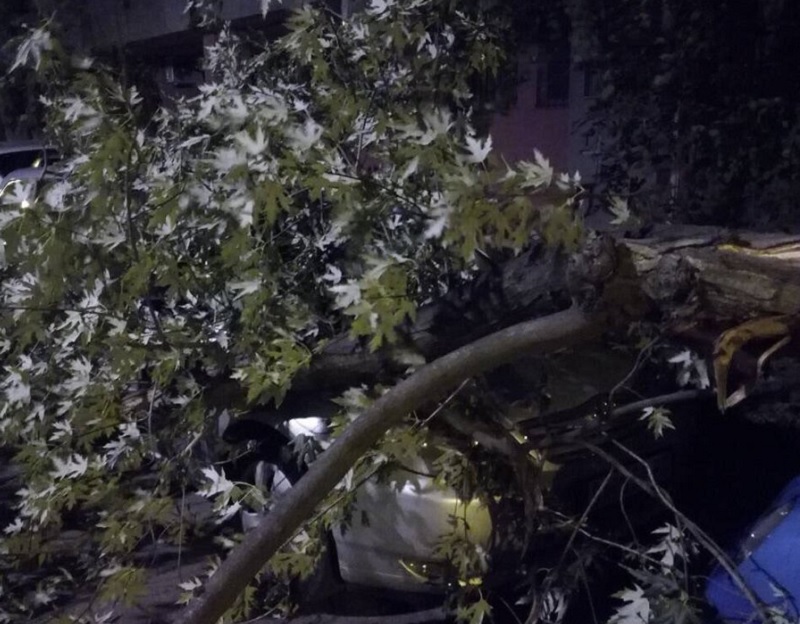 ОЛУЈА ПРОТУТЊАЛА БЕОГРАДОМ: Ветар ломио дрвеће, носио стролве и сунцобране по центру; У Малом Мокром Лугу однео скелу са солитера